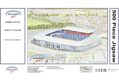 Cardiff City Stadium Fine Art Jigsaw Puzzle - Cardiff City Football Club